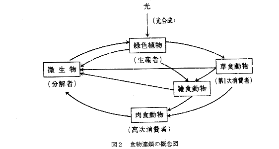 遺伝子組み換え技術と食品について パート1 遺伝子組み換え技術と食品について パート1